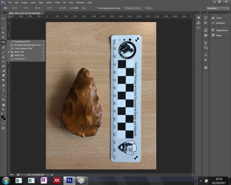 fig1