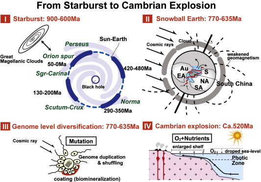 Chilling stars and the origin of complex life? – Professor Sandcastle